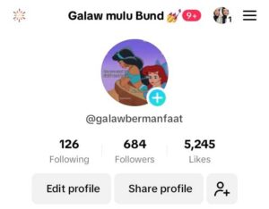 Hasil Tiktok ads 01